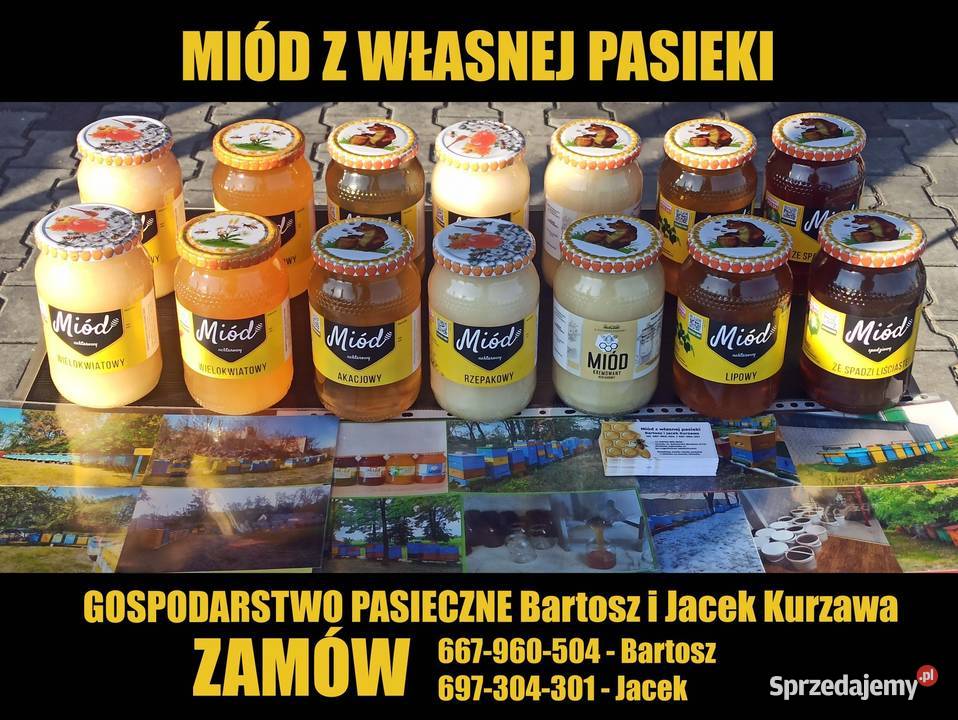 Miód Gryczany HURT Sieradz