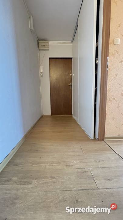 Popowice 2 pokoje 4150 m2 rozkładowe Sprzedaż Wrocław