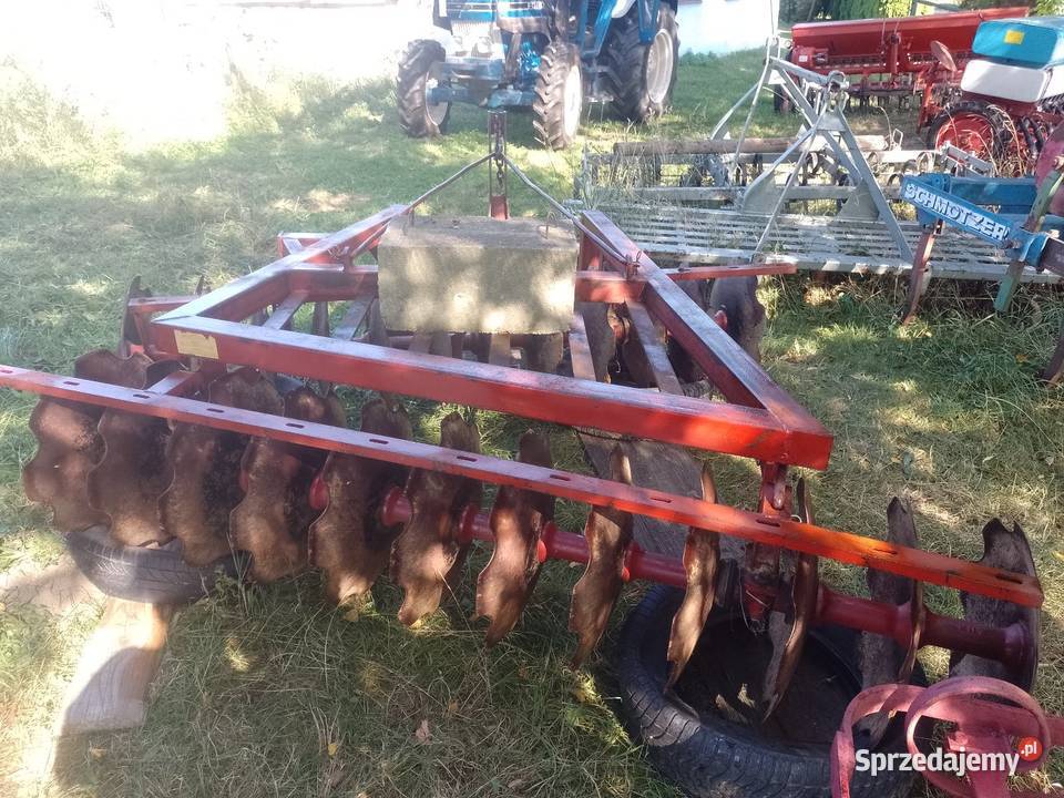 Brona talerzowa małopolskie Jastrzębia
