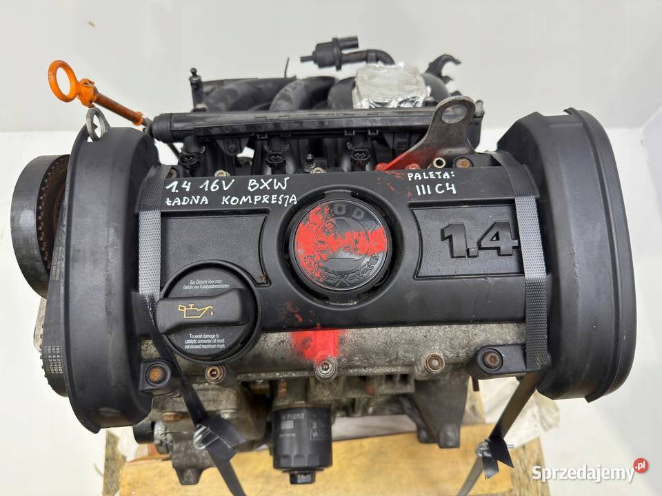 SILNIK BXW Seat Cordoba II Ibiza III IV Toledo