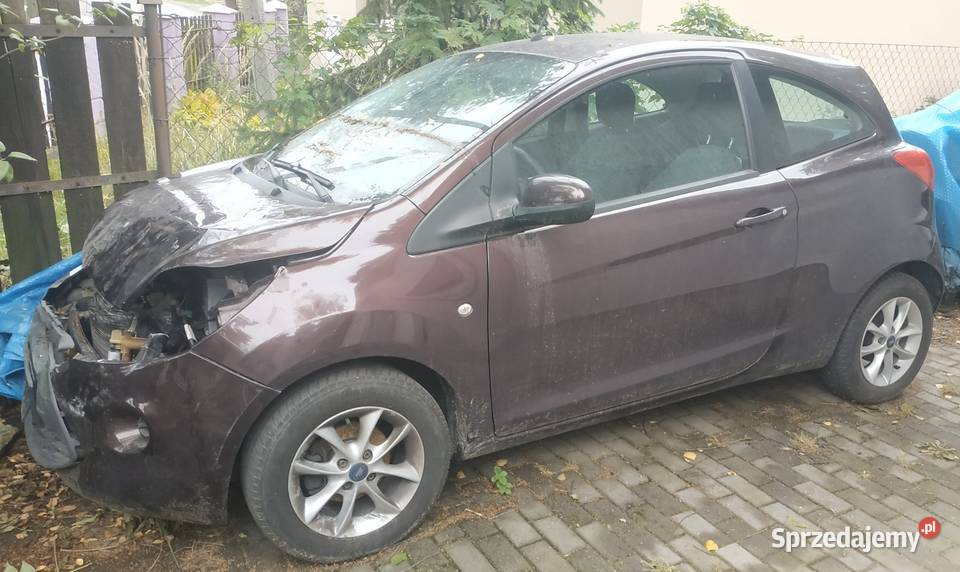 Ford Ka Ru8 mk2 12 69KM Wrocław sprzedam