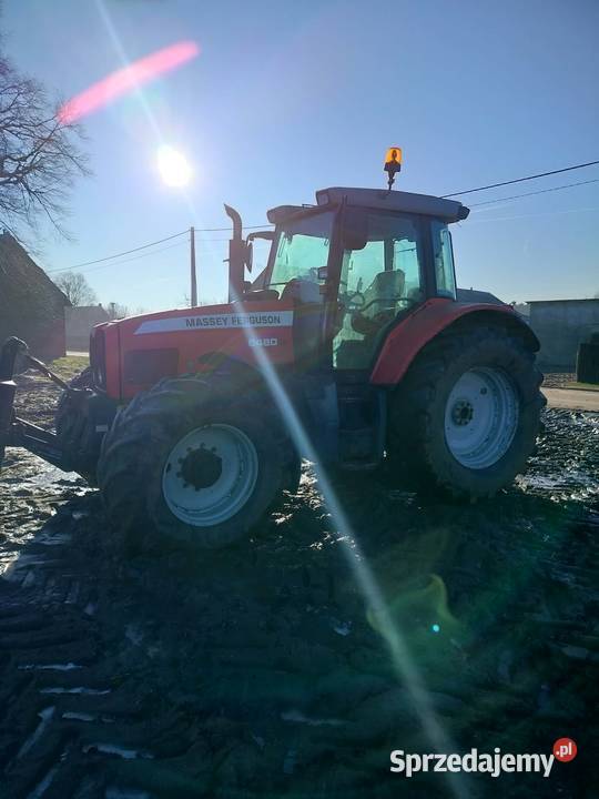 Sprzedam Ciągnik Massey Ferguson 6489 Kocina