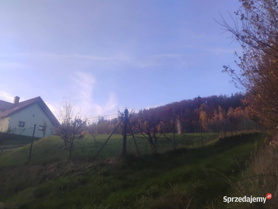 Sprzedam działkę z pięknym widokiem i świetnym Sprzedaż Radochów