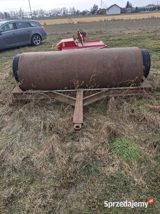 Wal łąkowy wymiary na zdjeciach nieuszkodzony Wierzchlas