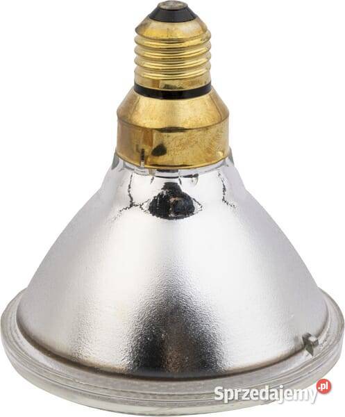 Econ promiennik podczerwieni 100W biały 22242KER Kamionna