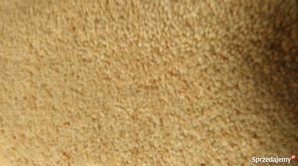 WYKŁADZINY super PROMOCJA NOWOŚĆ Dywany i wykładziny