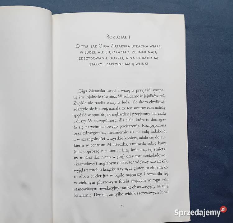 Magdalena Witkiewicz Pracownia dobrych myśli wielkopolskie Koźminek sprzedam