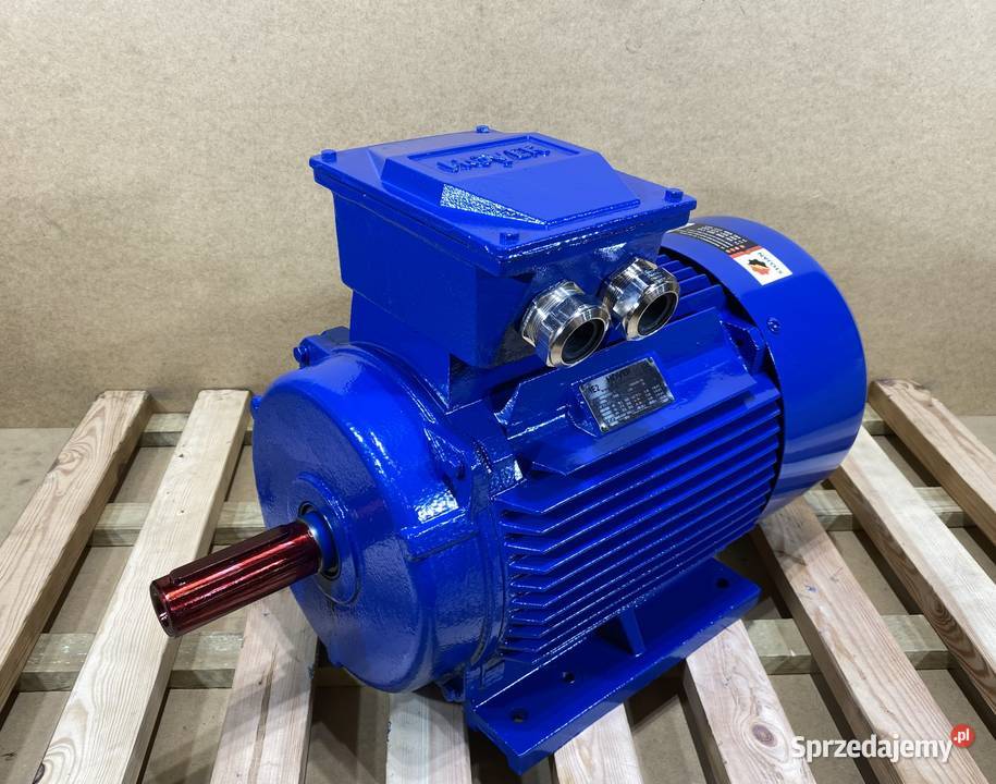silnik elektryczny 185kW 2930obr 3fazowy IE2 kujawsko-pomorskie