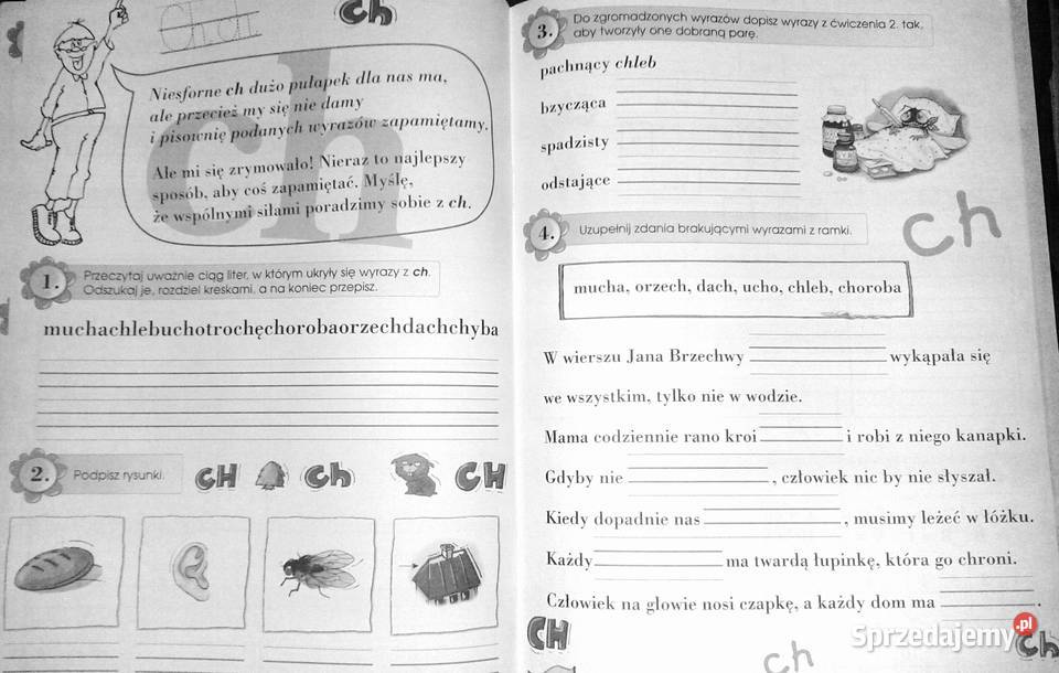 A do Z Ćwiczenia ortograficzne 1 Agnieszka Rok wydania 2009 Chełm