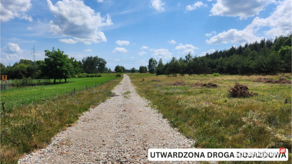 ZBOISKA KRADZIEJOWIC DZIAŁKI BUDOWLANE LESIE sprzedam