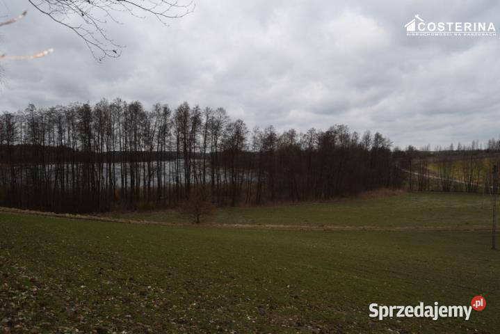 Działka Równe 14000m2 Sprzedaż