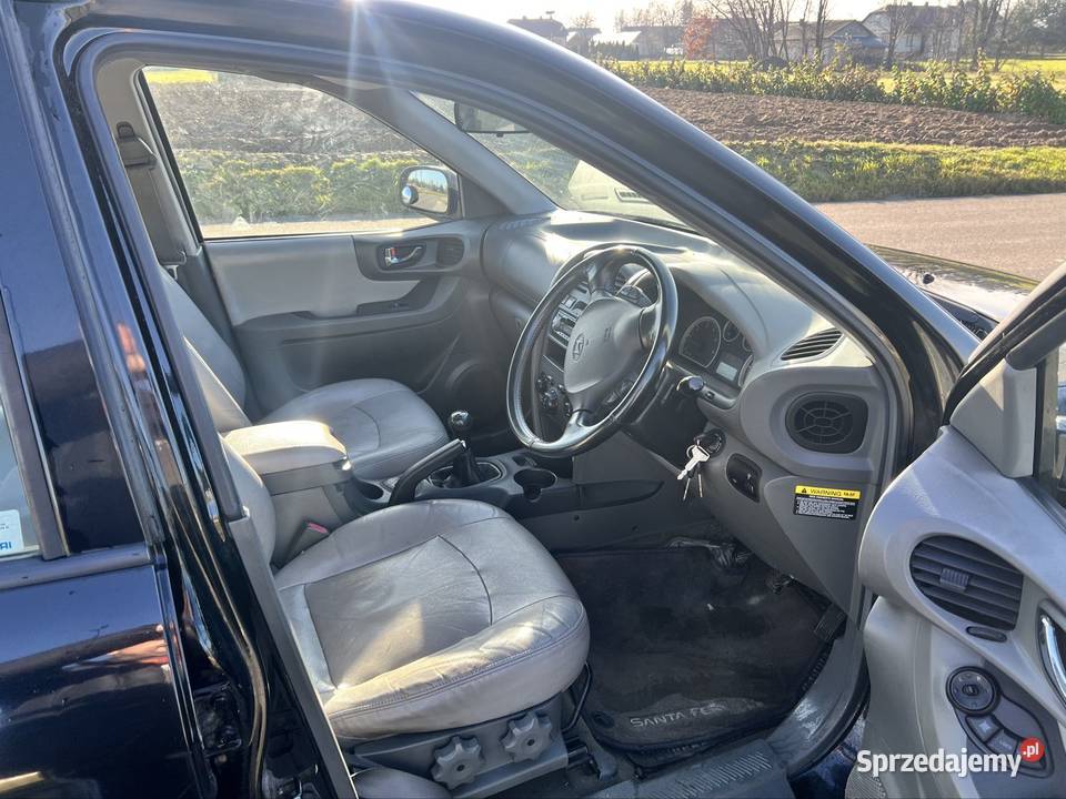 Sprzedam Hyundai SantaFe Stary Dzików sprzedam