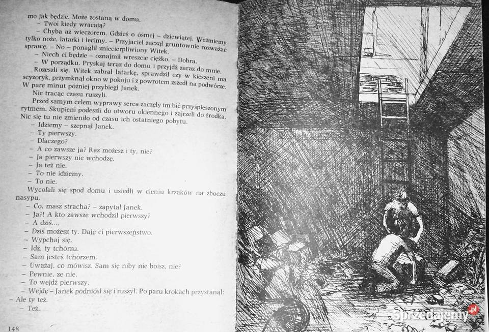 Witek poszukiwaczem skarbów Andrzej Wydmiński Chełm