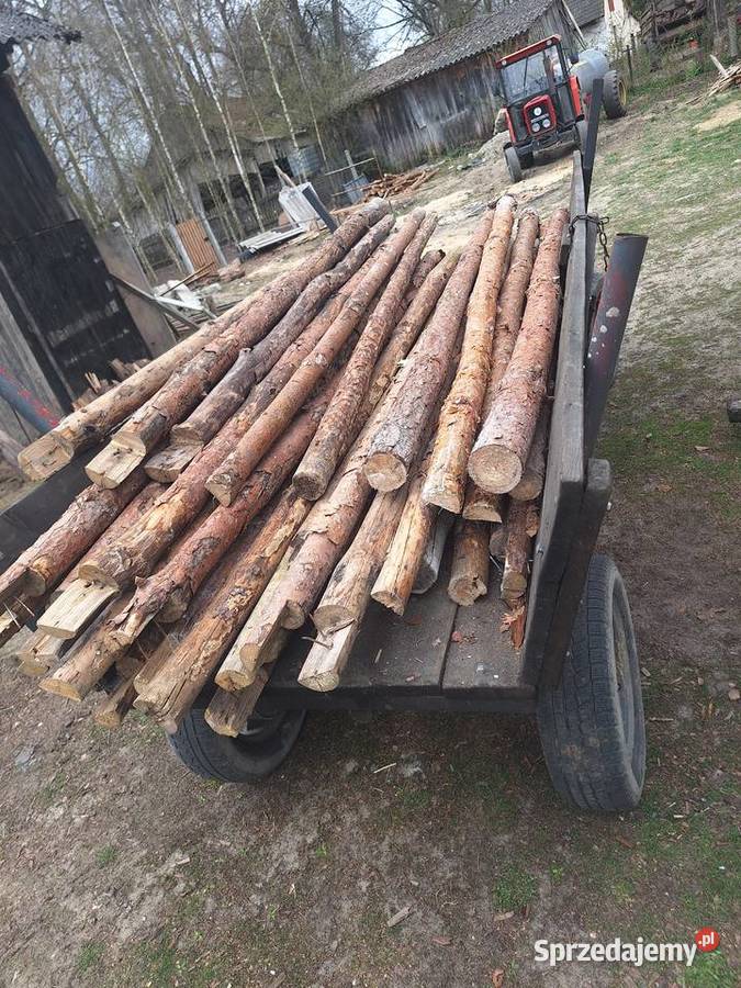 Stemple drewniane budowlane Borzykówka