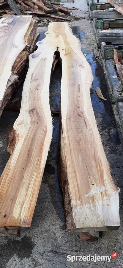 Wiąz deski bale brusy wiązu Pozostałe Rzeszów