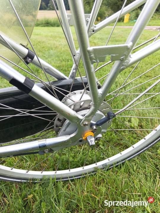 rower elektryczny na baterie dolnośląskie Chojnów