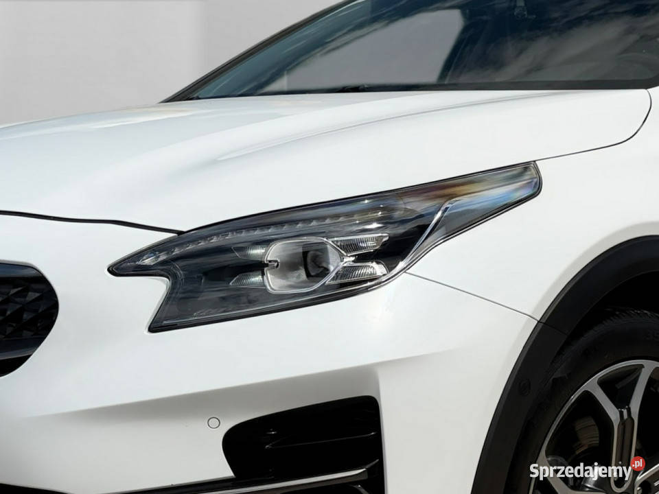Kia XCeed PANORAMA blis nawi KAMERA skora automatyczna Otmuchów