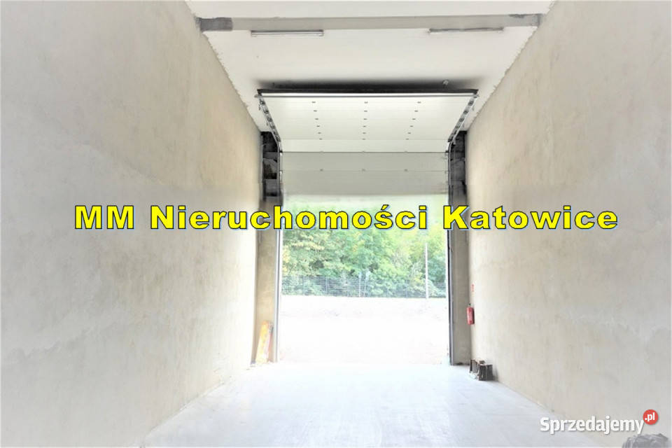 Powierzchnie magazynowe 200 5000 m2 do wynajęcia 980m2 Katowice