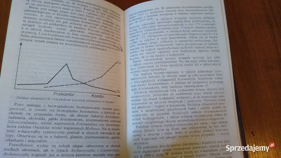 Inną drogą Włodzimierz Sedlak TWARDA Gdańsk