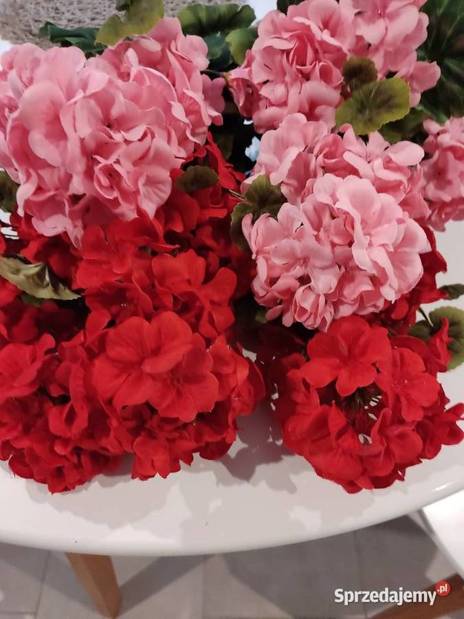 Bukiety pelargoni sztuczne zywe odcienie różowego Dębica
