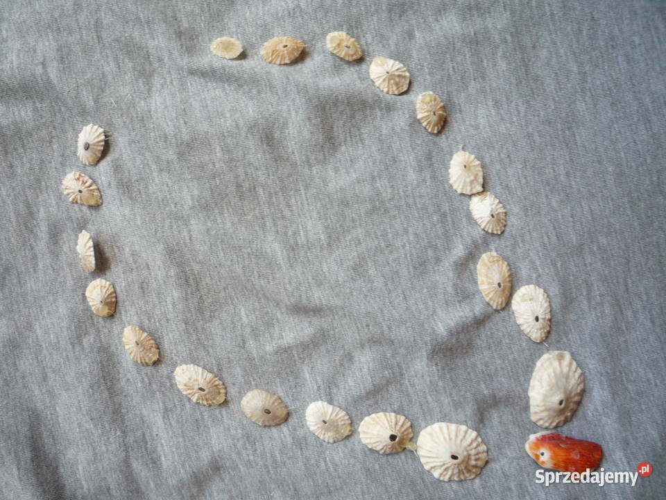 Nowe Korale Naszyjnik z muszelek zachodniopomorskie