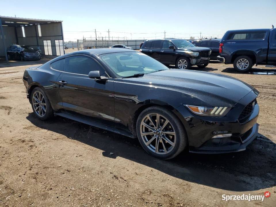 2017 FORD MUSTANG 317KM Częstochowa