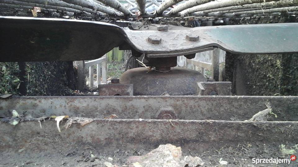 obcinarka do cebuli Słupca