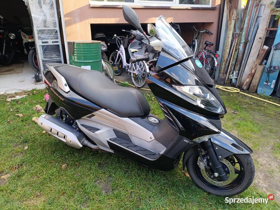 Tell silver blade 250 Yamaha silnik Janów Lubelski