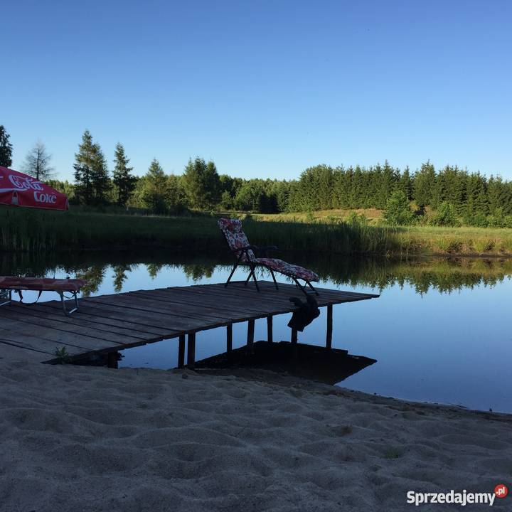 Dom ze stawem siedlisko rekreacja cicha okolica Dawia