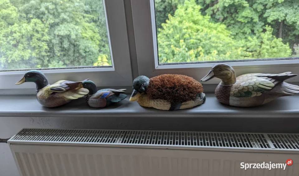 Kolekcja 11 Kaczek pomorskie Sopot