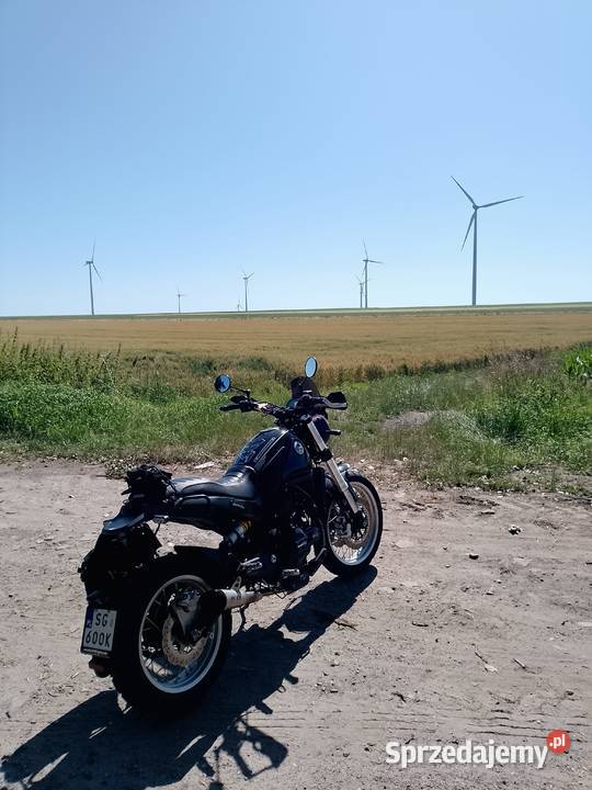 Benelli Leoncino 500 Scrambler Opole