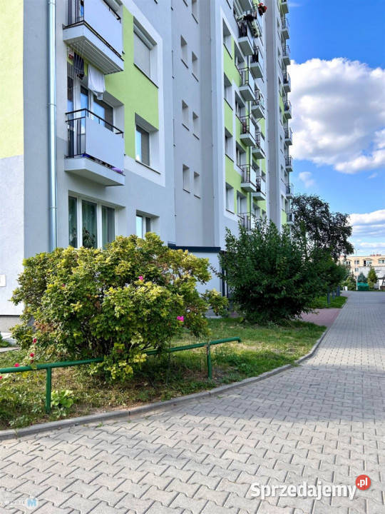 sprzedaży mieszkania 371m2 2 pokojowe Kielce