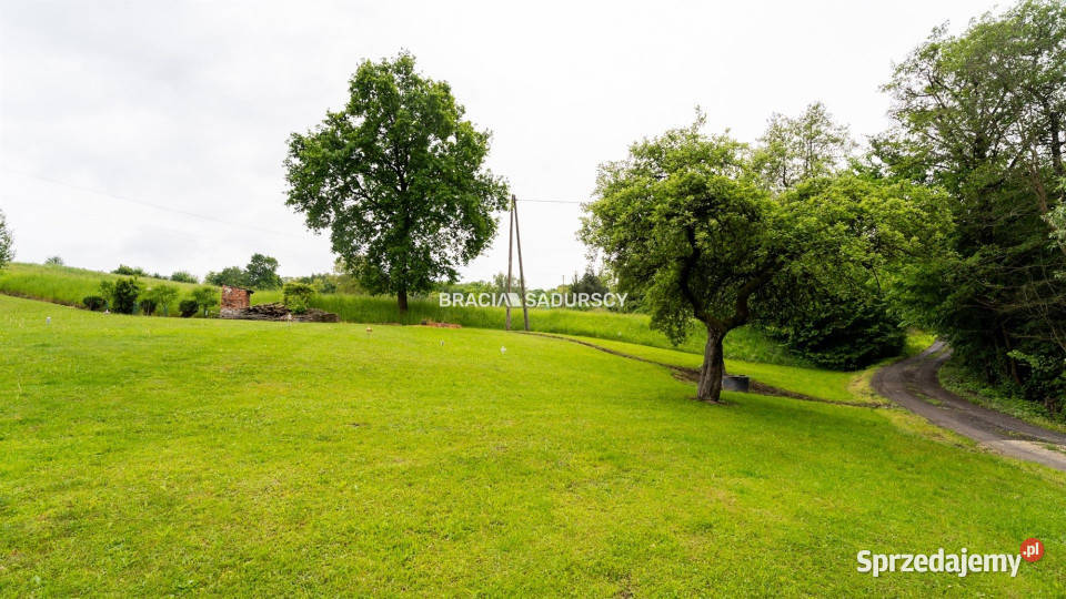 Działka 4700m2 Łazany Sprzedaż