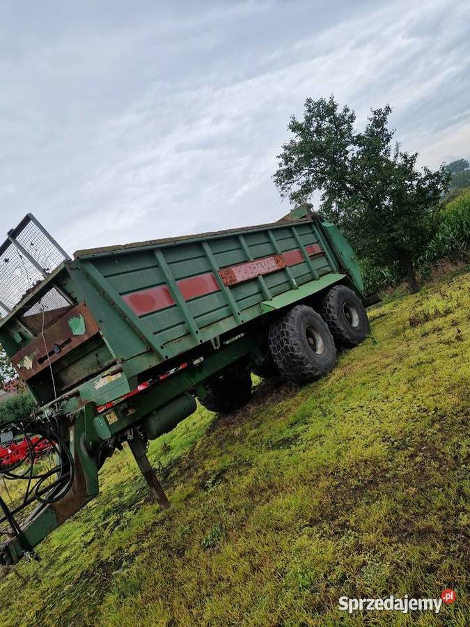 Rozrzutnik bergmann nieuszkodzony zachodniopomorskie Pyrzyce