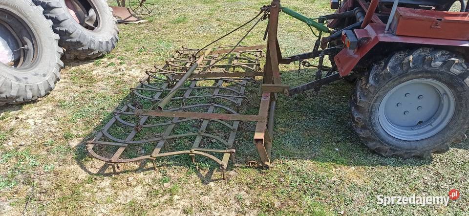 Sprzedam brony trójki podkarpackie Widełka