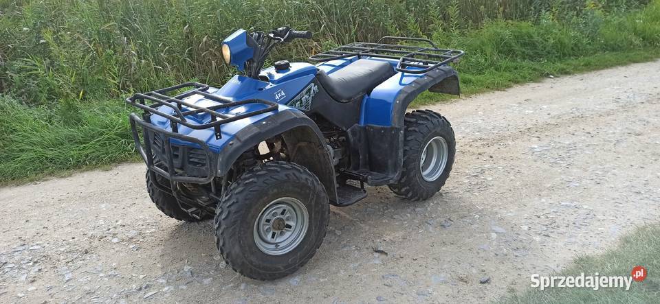 Quad Bashan Yamaha 250 Puławy