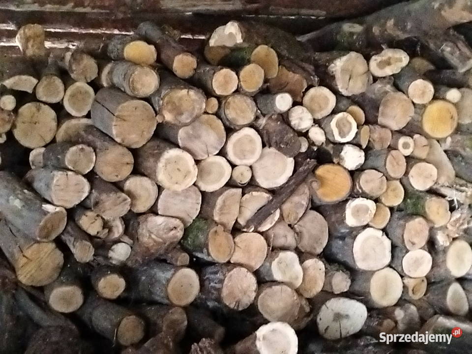 Drzewo opałowe dąb olcha brzoza Suche Chocianów