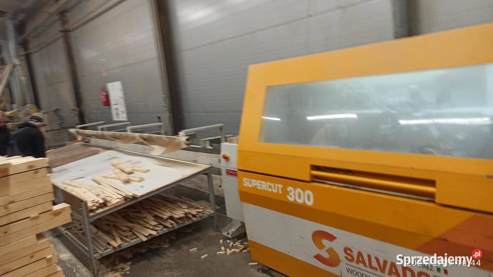 optymalizator salvador supercut 300 2017 Kłodawa