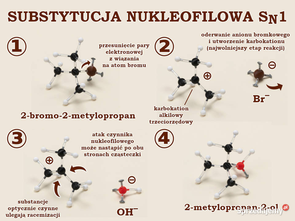 Modele atomów CHEMIA ORGANICZNA szkoła średnia mazowieckie Warszawa sprzedam