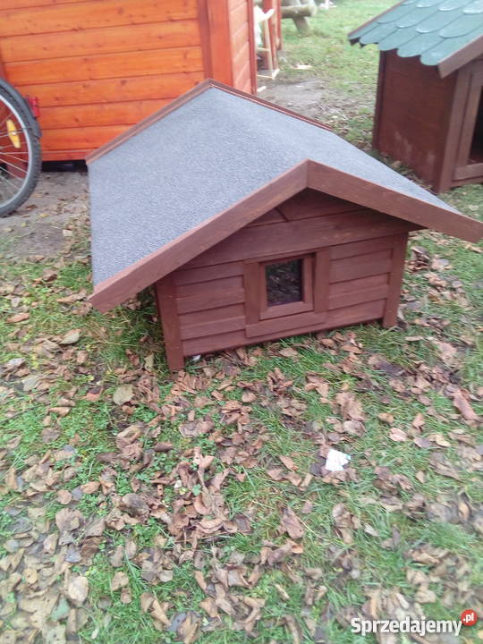 Buda domek kilku kotów Grodziec