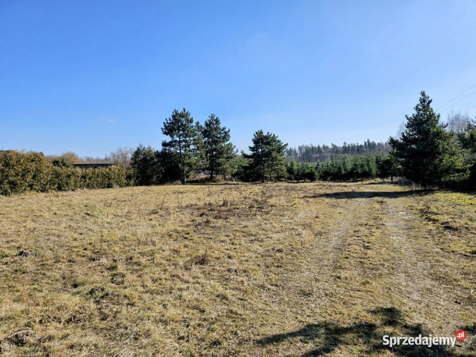 Działka budowlana 8600 m2 w klimatycznej Mszczonów