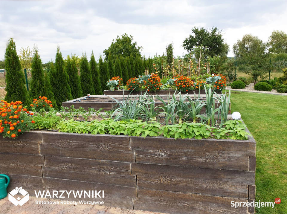 Warzywnik betonowy Skrzynia na warzywa Rabata Górno