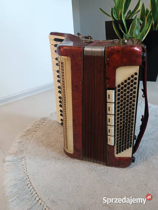 Akordeon weltmeister 120