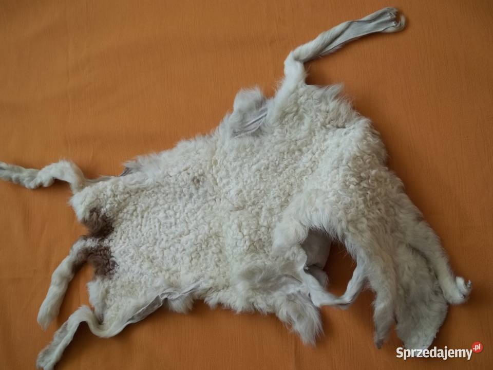 Karakuł jasny wyprawiona skórka Łódź