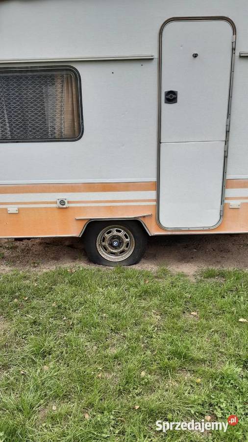 Sprzedam przyczepę kempingową Wilk Sport CI320 świętokrzyskie Końskie