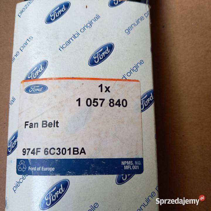 1057840 Pasek wielorowkowy Ford Transit 25 D dostawcze małopolskie Kraków