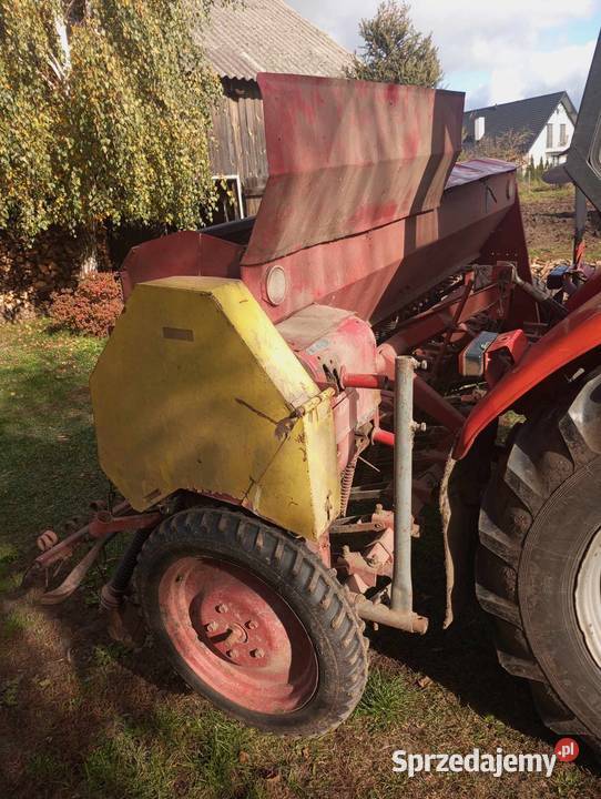 Siewnik poznaniak Hrubieszów