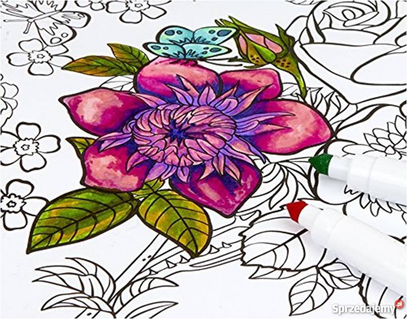 Pisaki 24 Kolory Mazaki Flamastry Crayola Super sprzedam