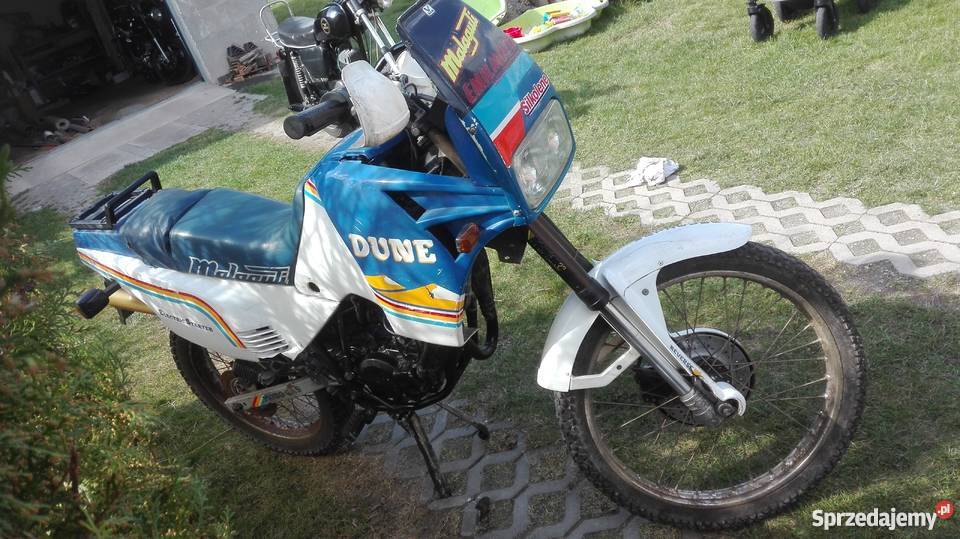 MALAGUTI DUNE dolnośląskie Jelenia Góra