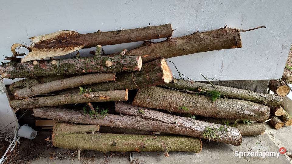 Drewno opalowe Sanok